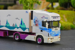 20251206-Trio-Trans-00149