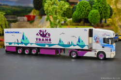 20251206-Trio-Trans-00151