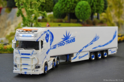 20251206-Trio-Trans-00289