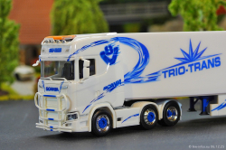 20251206-Trio-Trans-00290