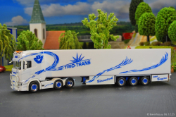 20251206-Trio-Trans-00292