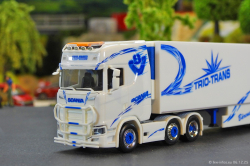 20251206-Trio-Trans-00295