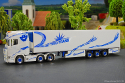 20251206-Trio-Trans-00297