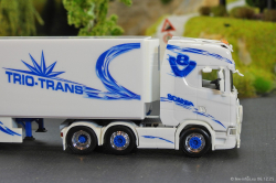 20251206-Trio-Trans-00319