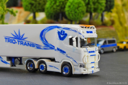 20251206-Trio-Trans-00325