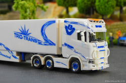 20251206-Trio-Trans-00329