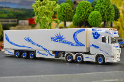 20251206-Trio-Trans-00330