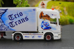 20251206-Trio-Trans-00601