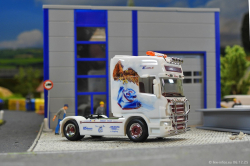 20251206-Trio-Trans-00644