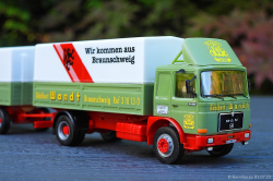 20250703-Wandt-00337