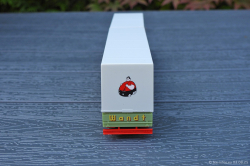 20250803-Wandt-00492