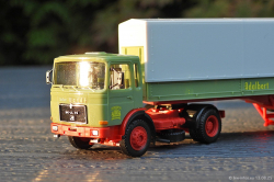 20250813-Wandt-00227