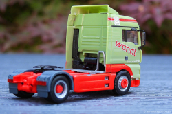 20250630-Wandt-00641