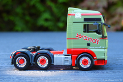 20250701-Wandt-01047