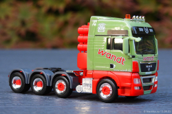 20250813-Wandt-00523