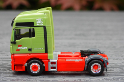 20250628-Wandt-00589