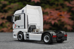 20250628-Wandt-01026