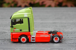 20250628-Wandt-01456