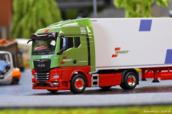 20260723-Wandt-00005