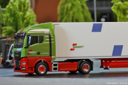 20260723-Wandt-00006