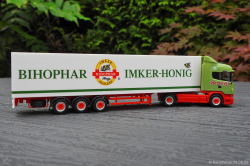 20250628-Wandt-01289