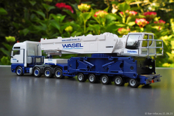 20250621-Wasel-00019