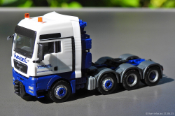 20250621-Wasel-00132