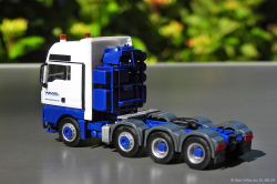 20250621-Wasel-00143