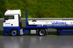 20250621-Wasel-00251