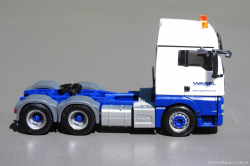 20250621-Wasel-00631