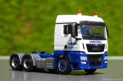 20250621-Wasel-00635