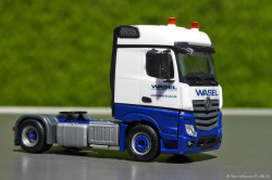 20250621-Wasel-00866