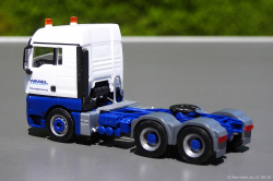 20250621-Wasel-01078