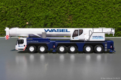 20250614-Wasel-00008