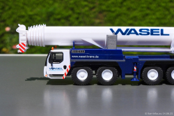 20250614-Wasel-00009