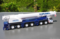 20250614-Wasel-00024