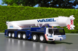 20250614-Wasel-00031