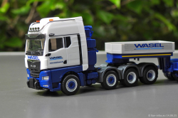 20250614-Wasel-00085