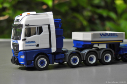 20250614-Wasel-00090