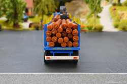 20261220-Wittwer-CH-00793