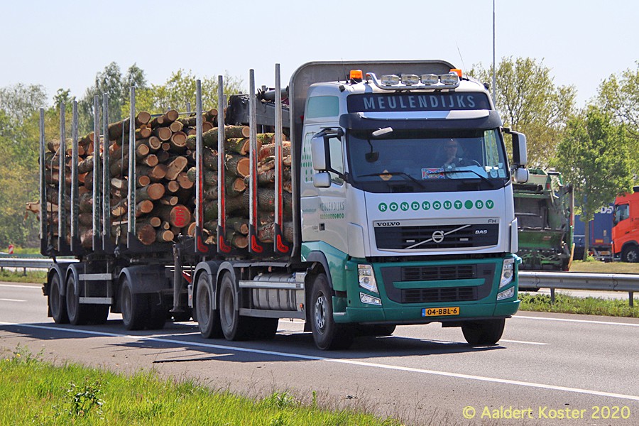 20210107-Holztransporter-00013.jpg