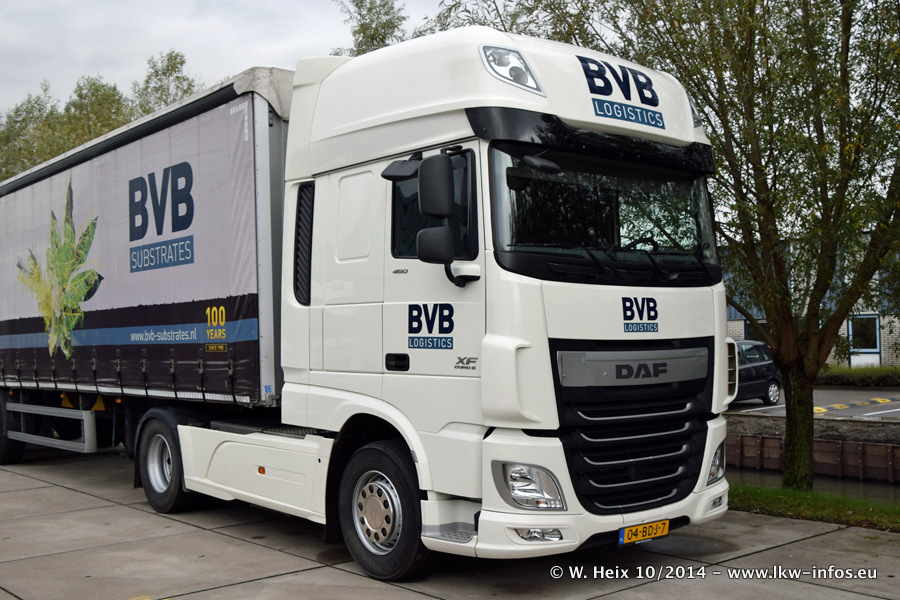 BVB-20141025-007.jpg