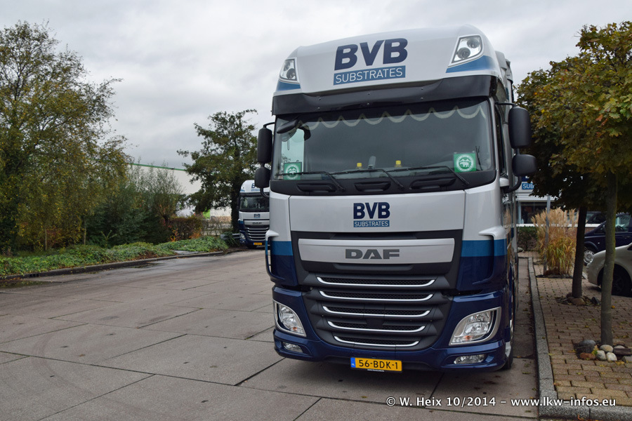 BVB-20141025-046.jpg