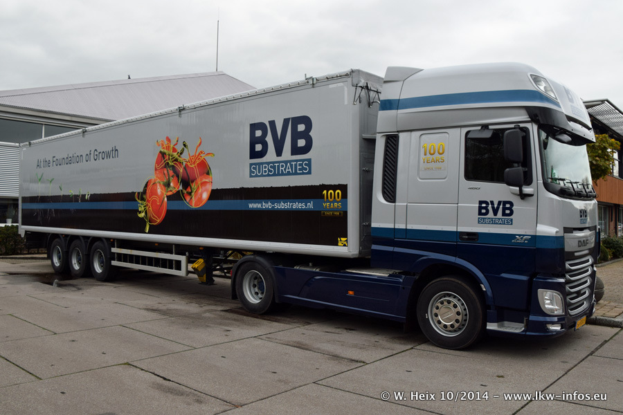 BVB-20141025-051.jpg