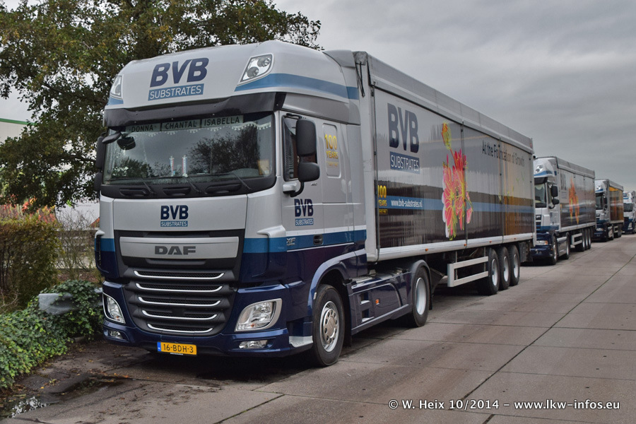 BVB-20141025-054.jpg