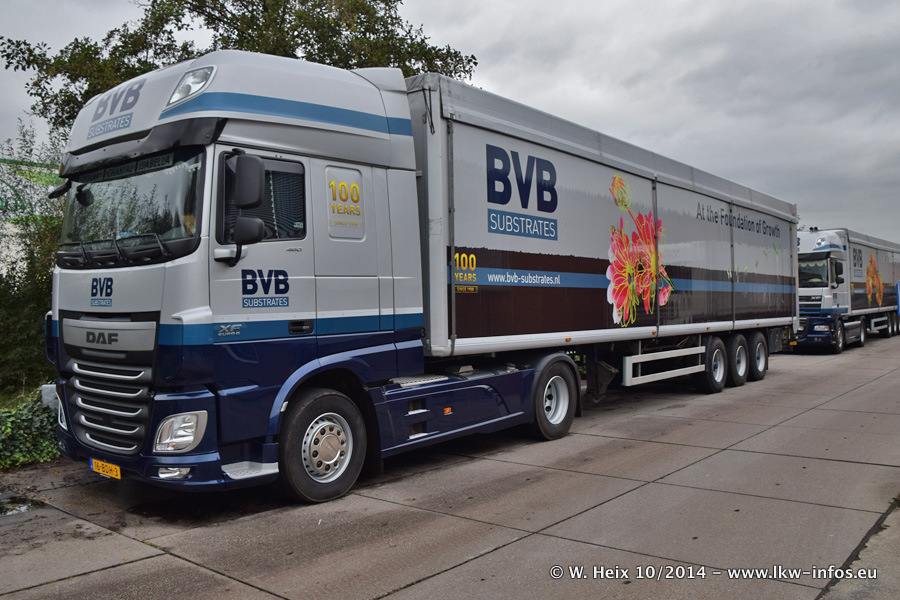 BVB-20141025-057.jpg