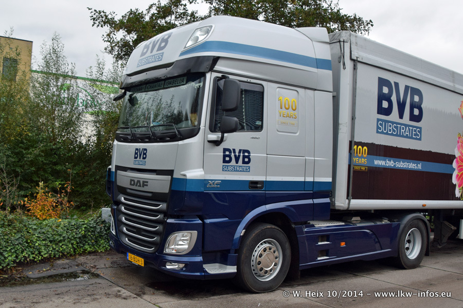 BVB-20141025-058.jpg