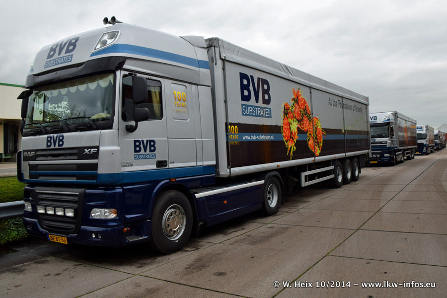 BVB-20141025-061.jpg