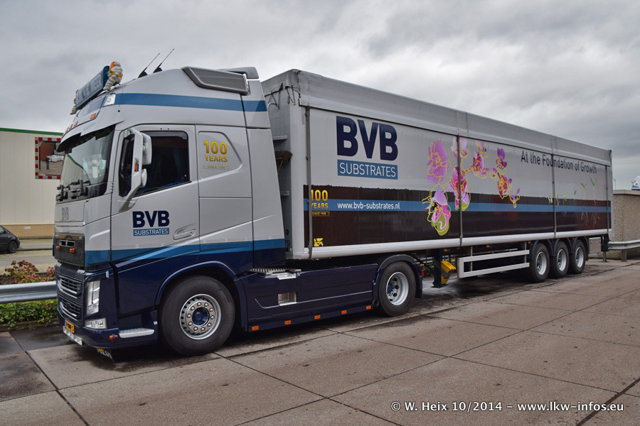 BVB-20141025-074.jpg