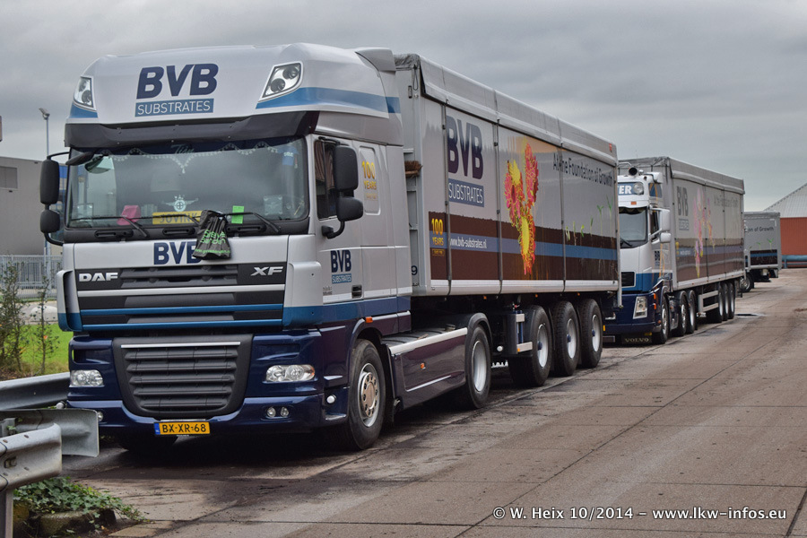 BVB-20141025-077.jpg